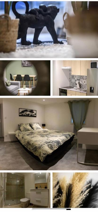 Le Boldieu- Duplex Beziers -Allee Paul Riquet- Wifi- Tv Connecte Екстер'єр фото