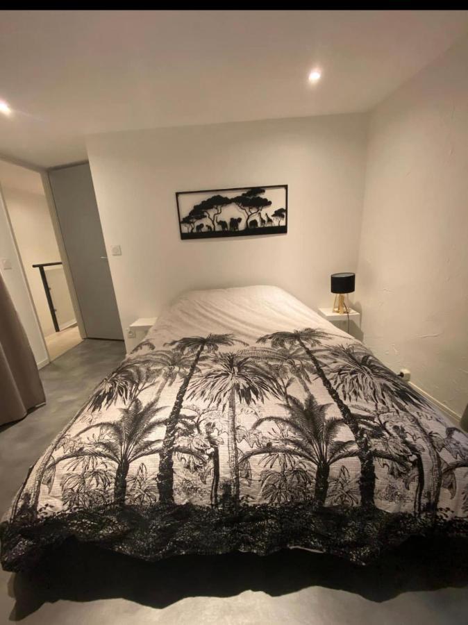 Le Boldieu- Duplex Beziers -Allee Paul Riquet- Wifi- Tv Connecte Екстер'єр фото